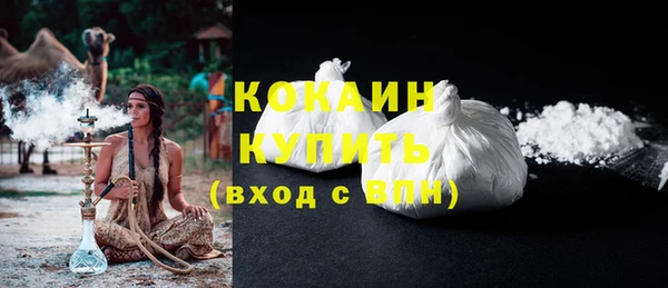 дурь Карпинск