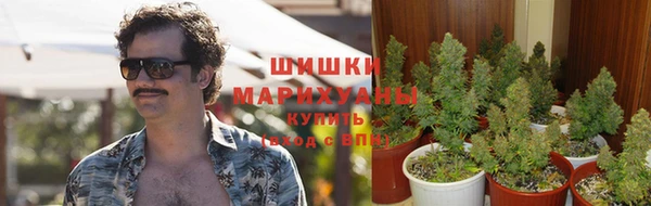 дурь Карпинск