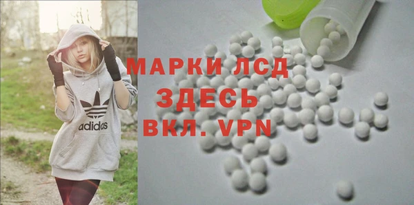 дурь Карпинск