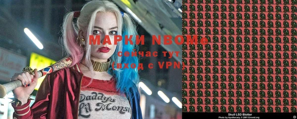 дурь Карпинск