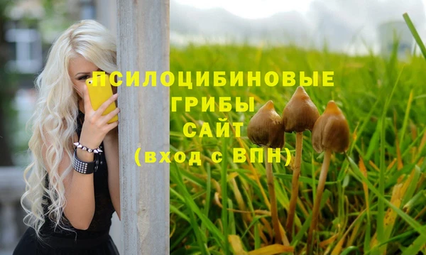 дурь Карпинск