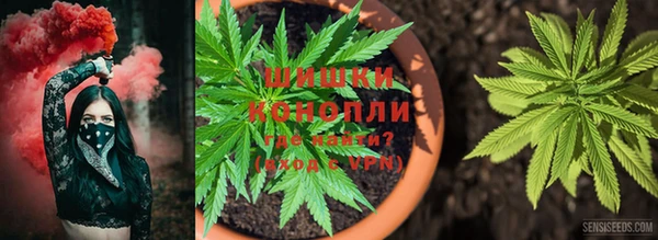 дурь Карпинск