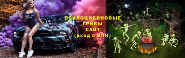 дурь Карпинск
